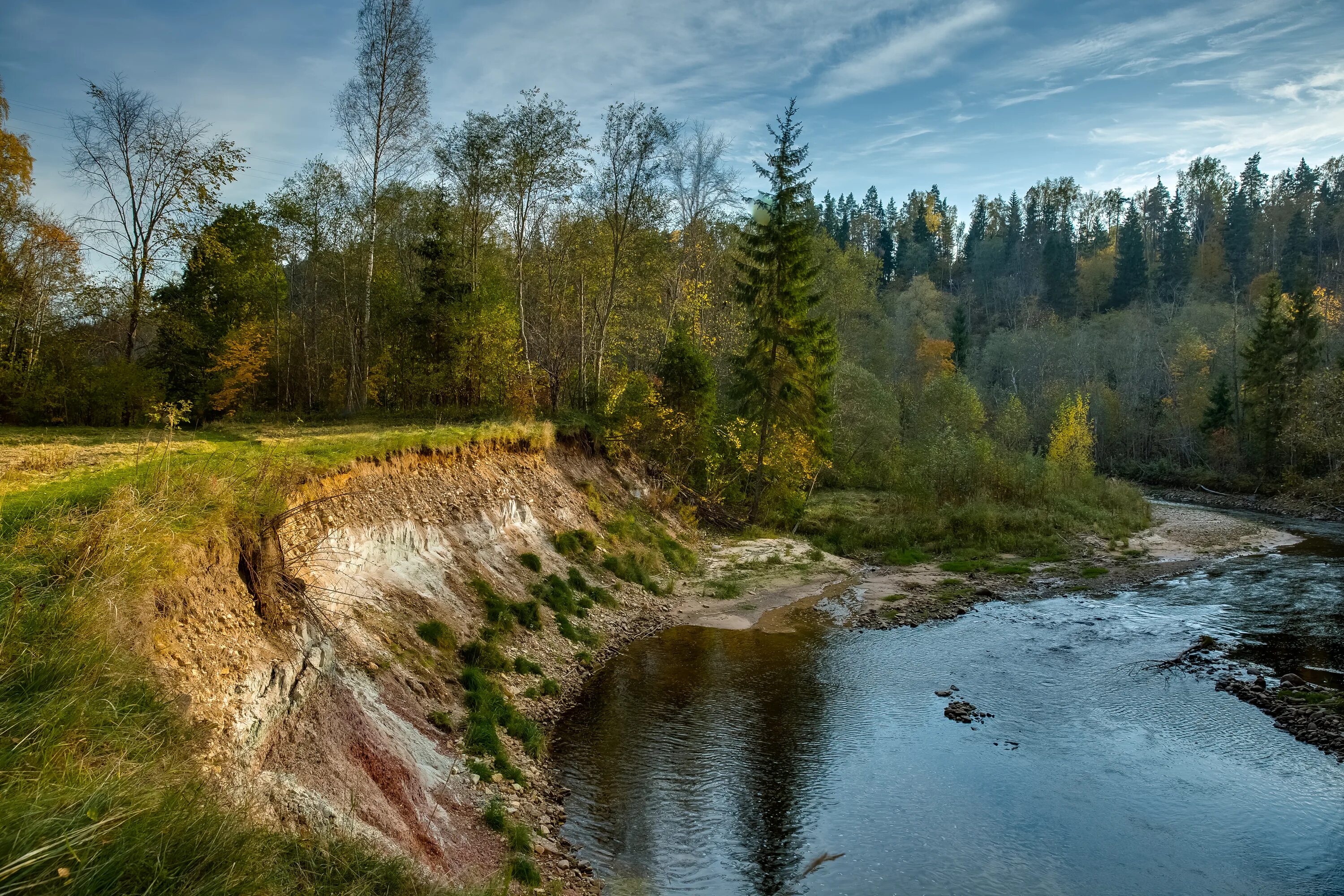 Картинки реченька. Северная двина с сухоной. Реченька река крутые берега. Речка реченька река. Речка реченька река.
