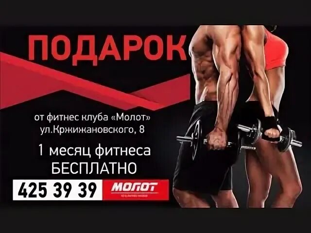 Легенда фитнес озерках расписание. Легенда фитнес озерках расписание. Легенда фитнес озерки. Зал легенда спб. Легенда тренажерный зал.