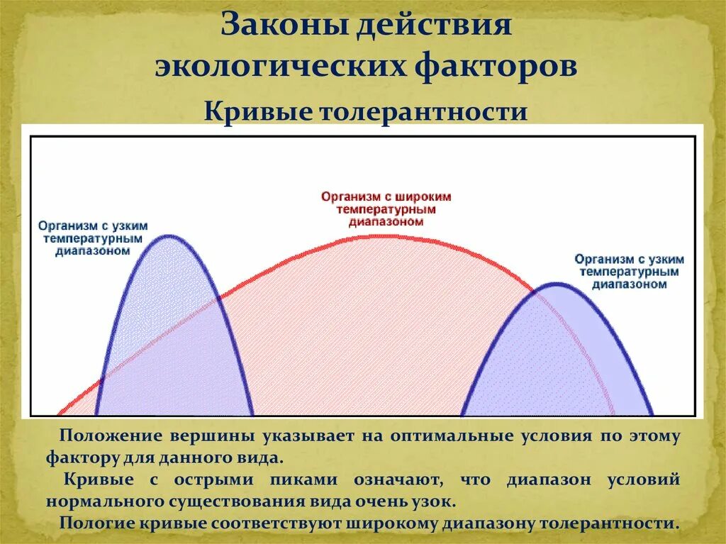 Закон экологического воздействия. Кривая толерантности. Действие экологических факторов на организм. Кривая экологической толерантности. Кривая толерантности в экологии.