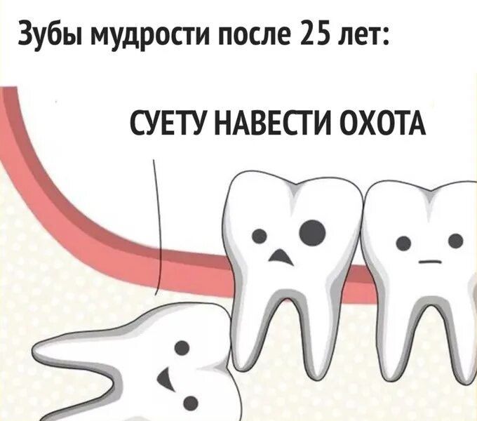 Прорезается зуб мудрости. Когда в марте удалять зубы