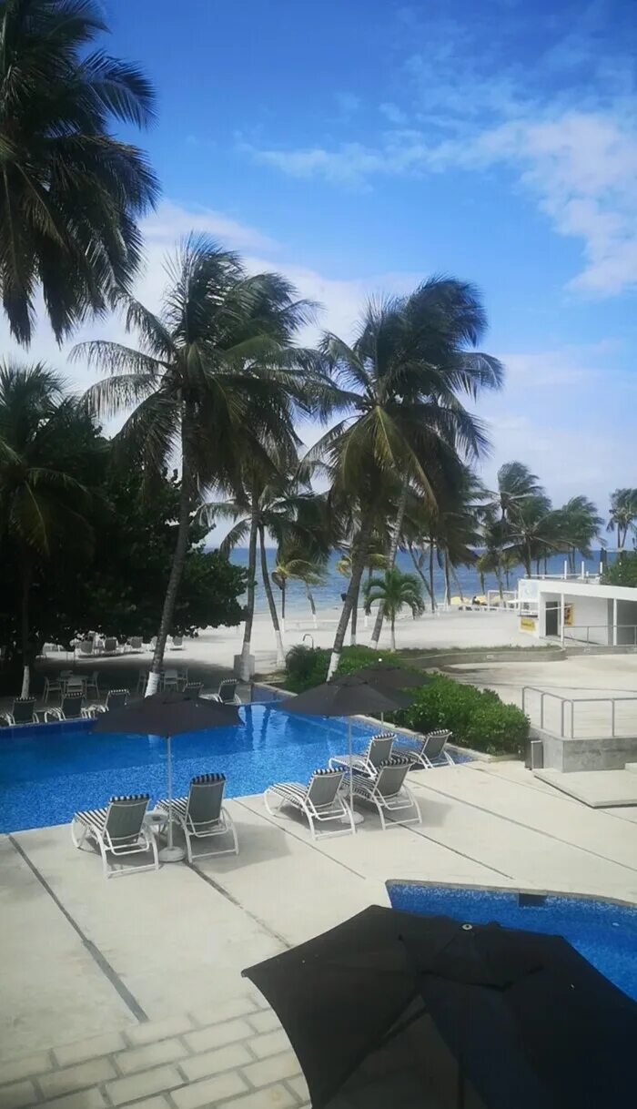 Остров коче венесуэла. Остров coche венесуэла. Пляж эль агуа венесуэла. Isla margarita венесуэла отзывы. Isla margarita венесуэла отзывы.