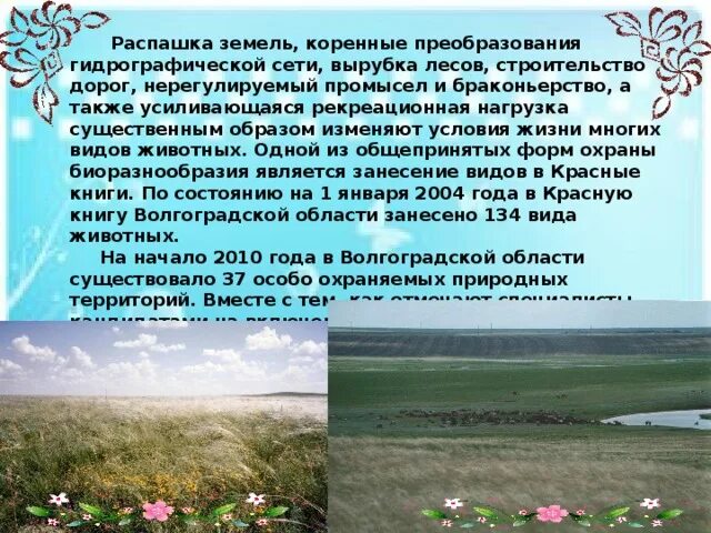 Природные зоны Волгоградской области. Сухостепная зона Волгоградской области. Природные зоны Волгоградского района. Природные зоны Волгоградской области доклад. Какая природная зона в волгоградской области