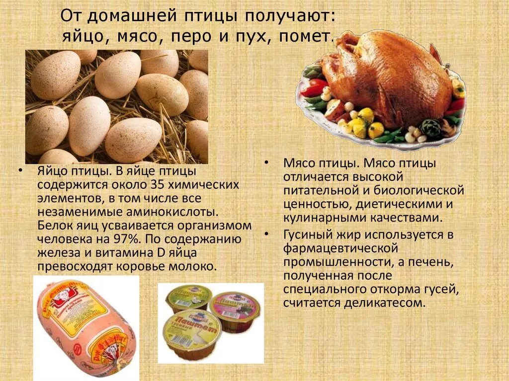 Продукты получаемые от птиц. Птицеводство доклад. Птицеводство презентация. Птицеводство доклад 4 класс. Презентация на тему Птицеводство.