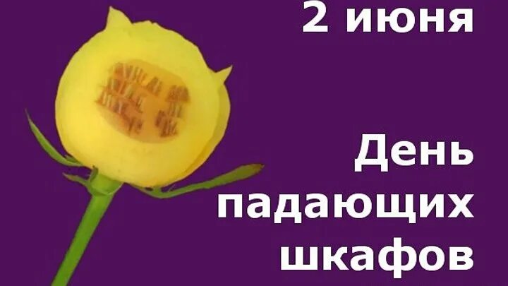 Включи 2 июня. День падающих шкафов. Праздник падающих шкафов 2 июня. 2 Июня день. С днем падающих шкафов открытка.