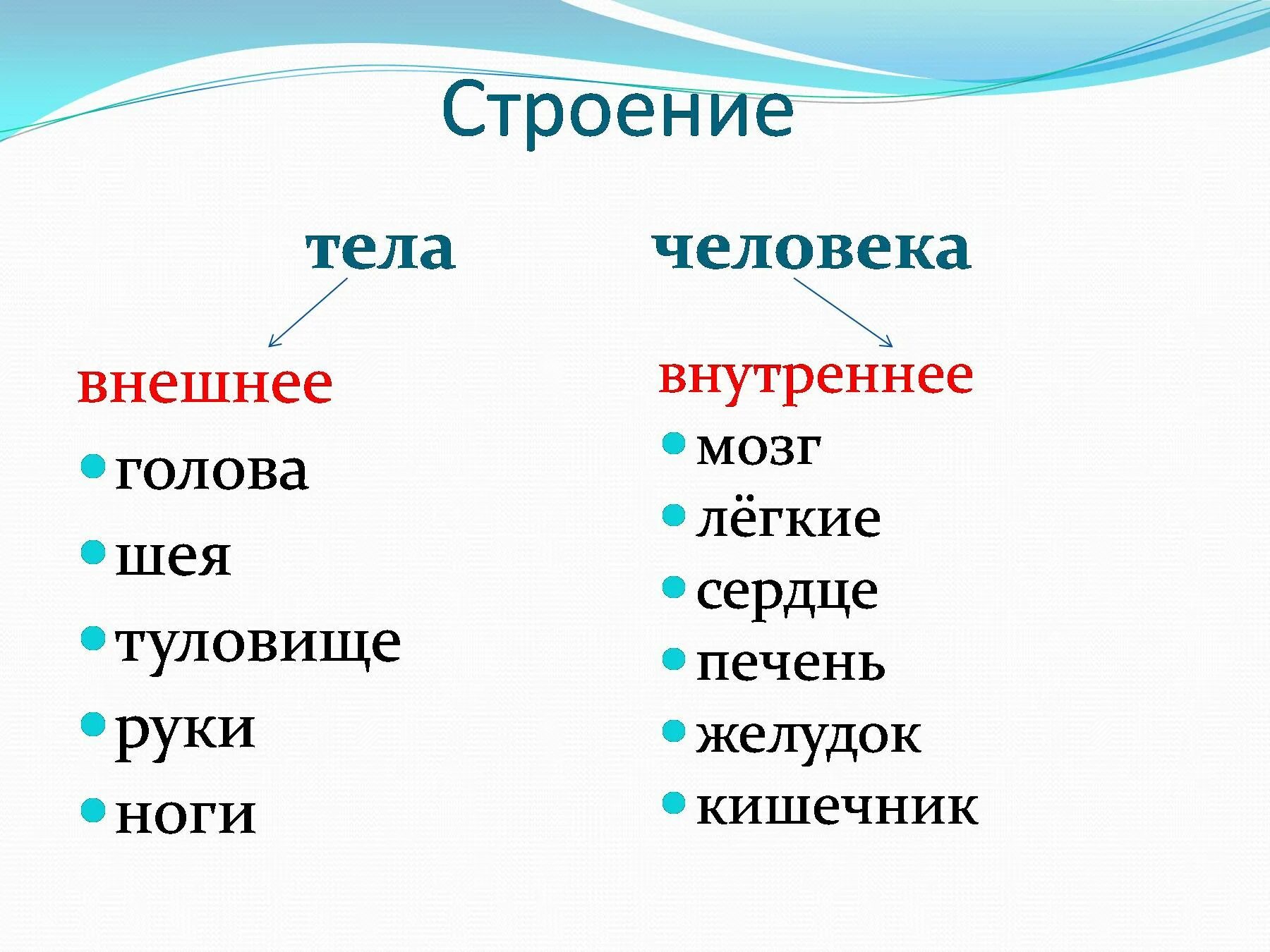 Окружающий мир 2 класс тела человека. Организм человека 2 класс окружающий мир школа России. Строение тела человека 2 класс. Строение тела человека 2 класс окружающий мир школа России. Строение тела человека 2 класс презентация школа России.