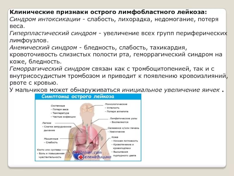 Сколько живут с лейкозом. Клиническая картина острого лимфобластного лейкоза. Острый лимфобластный лейкоз синдромы. Основные клинические симптомы острого лейкоза. Острый лимфобластный лейкоз у детей синдромы.