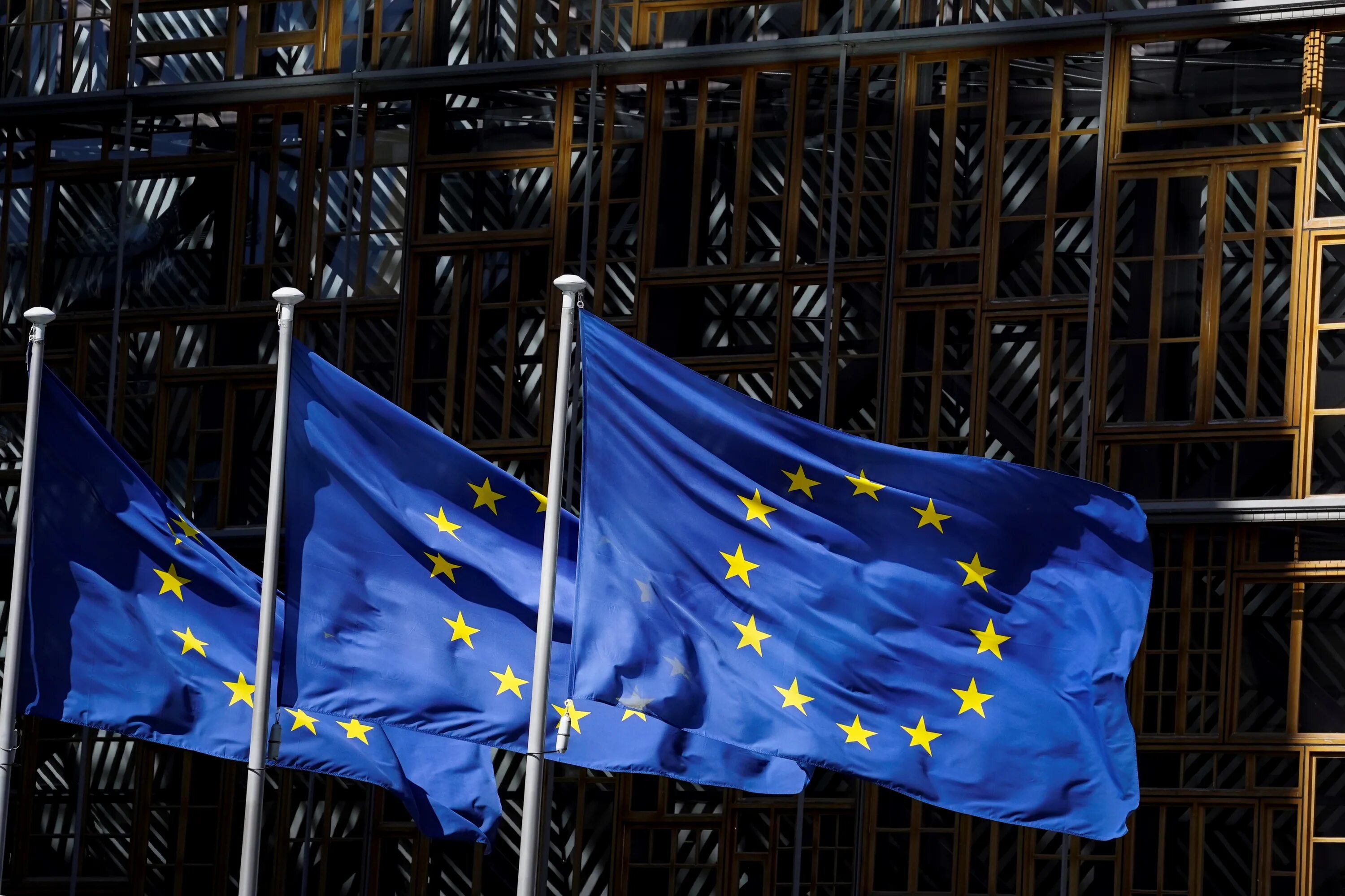 Европейский Союз 1993. Европейский Союз (Евросоюз). Флаг Евросоюза. ЕС И совет Европы.
