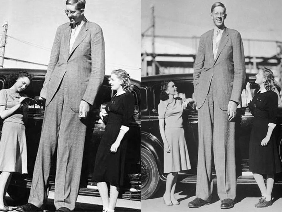 Tall man short man