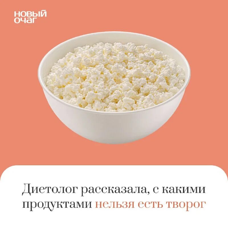 творог с ноткой. какой творог можно собаке. какой творог можно собаке. джек-рассел-терьер 3 месяца. творог для собак.