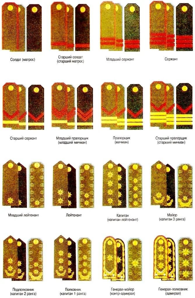 Звания военнослужащих по порядку с погонами
