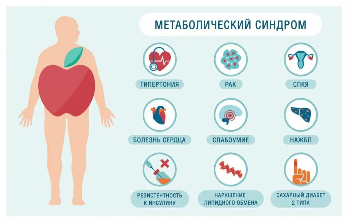 Метаболический фон. Метаболический синдром при сд 2 типа. ожирение метаболический синдром. метаболический синдром у женщин. метаболический синдром тип ожирения.