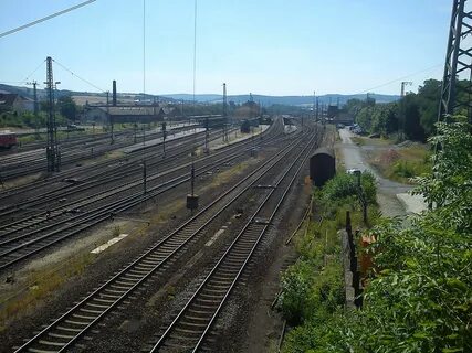 Фото бебры