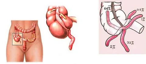 Інжу ожерелье порно көру