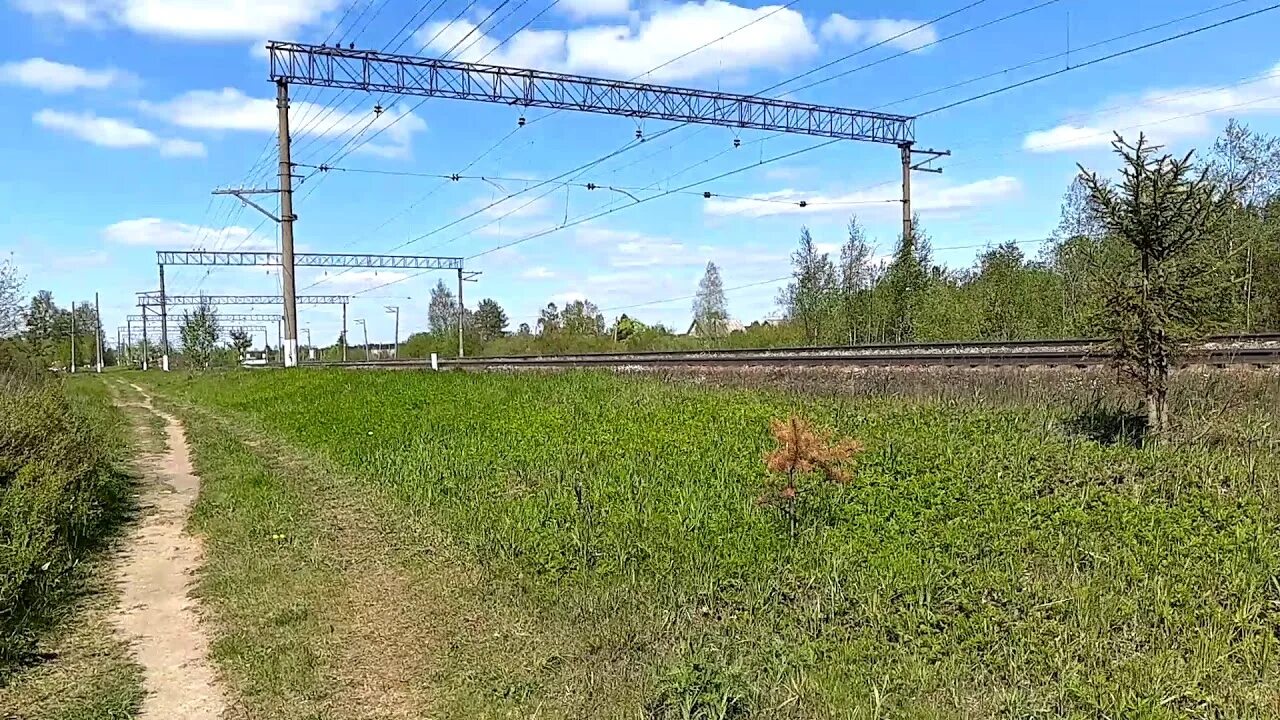 Погода в дивенской ленинградской области на неделю. Дивенская станция Лужский район. Дивенская ЖД станция. Станция Низовская Лужский район. Станция Дивенская Гатчинского района.