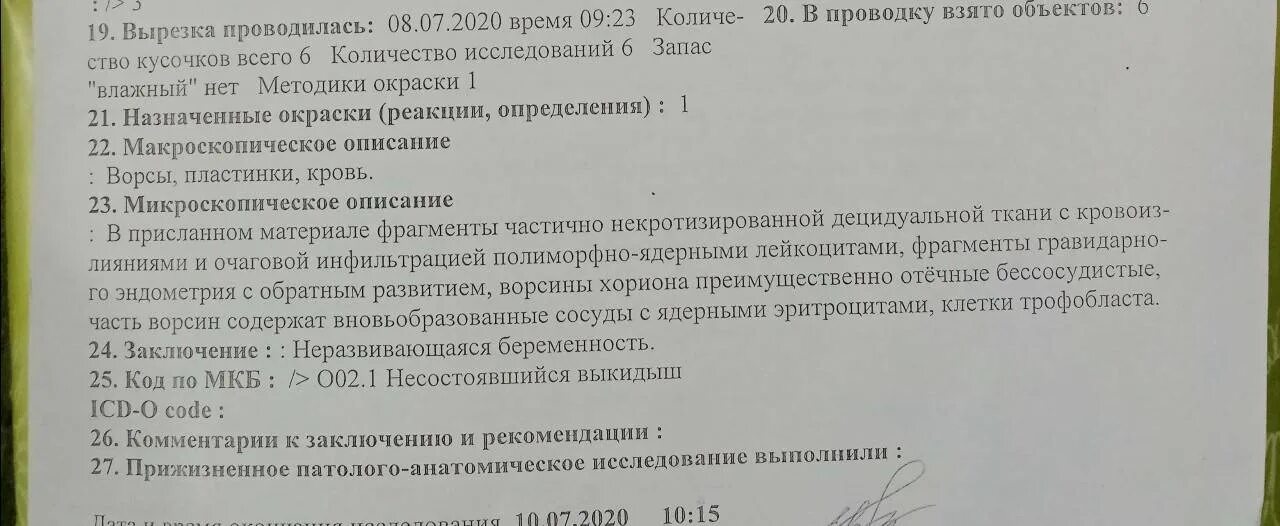 Результаты гистологии после выскабливания замершей беременности. Гистология при замершей беременности результаты. Гистологическое заключение после замершей беременности. Что покажет гистология после замершей. Что покажет гистология после замершей.