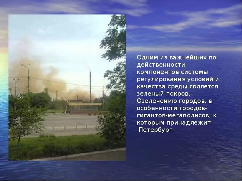 Проблемы санкт-петербурга. Экологические проблемы санкт-петербурга. Умный город. Экологические проекты петербург. Экологические проекты икеа.