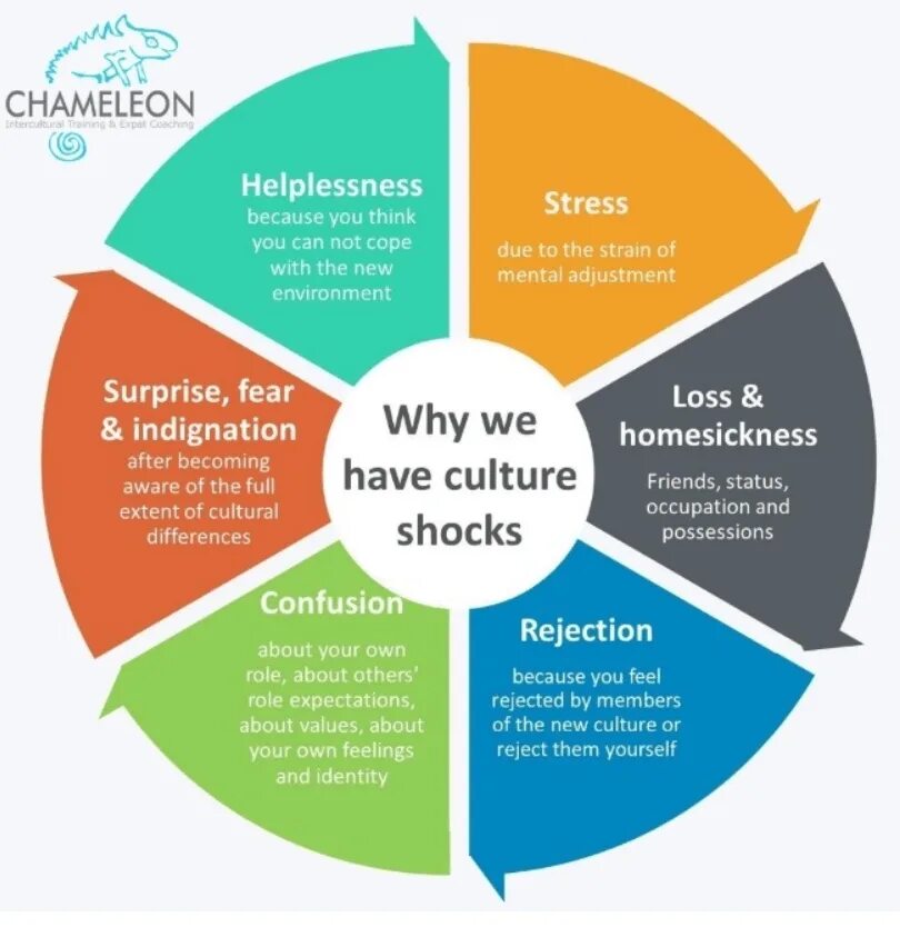 Intercultural communication and Culture. The 4 Stages of Culture Shock. Culture Shock план урока. Culture experience