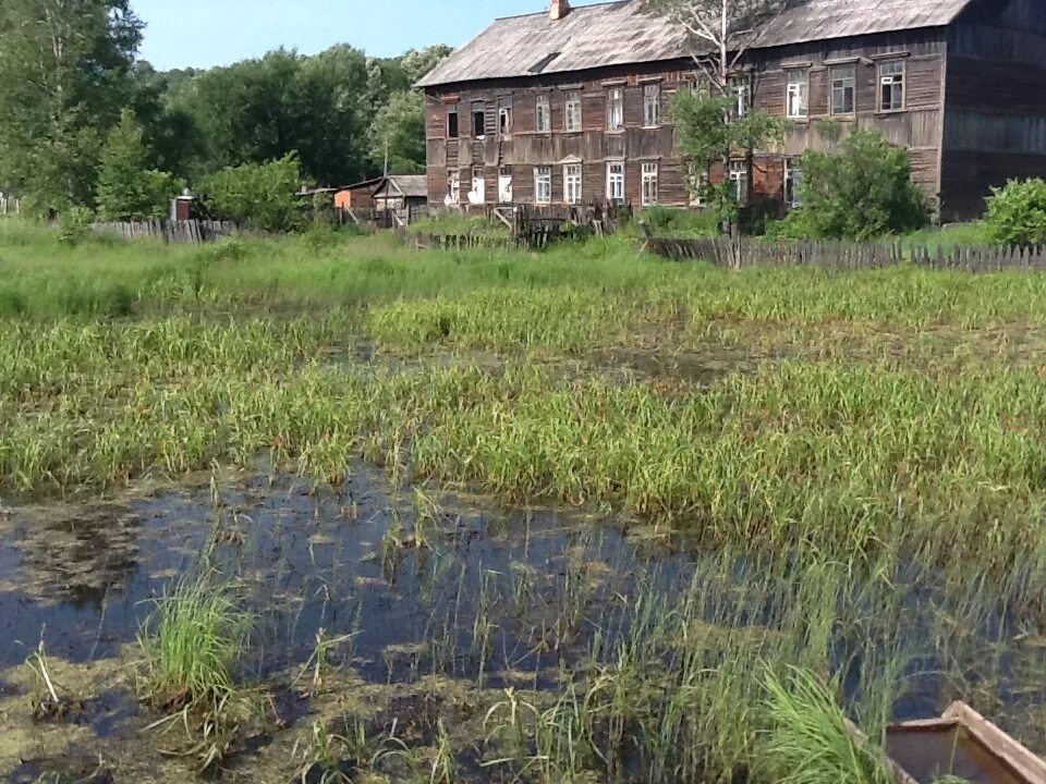 Болотистая местность дома. Болотные участки. Болотистый участок. Дом на болотах. Болото на участке.