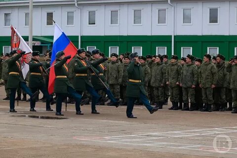 Призывники волгоград