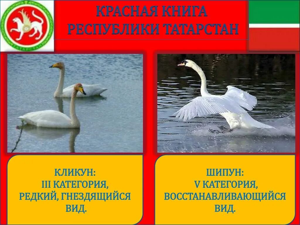 ИССЛЕДОВАТЕЛЬСКАЯ РАБОТА "Красная Книга Республики Татарстан"
