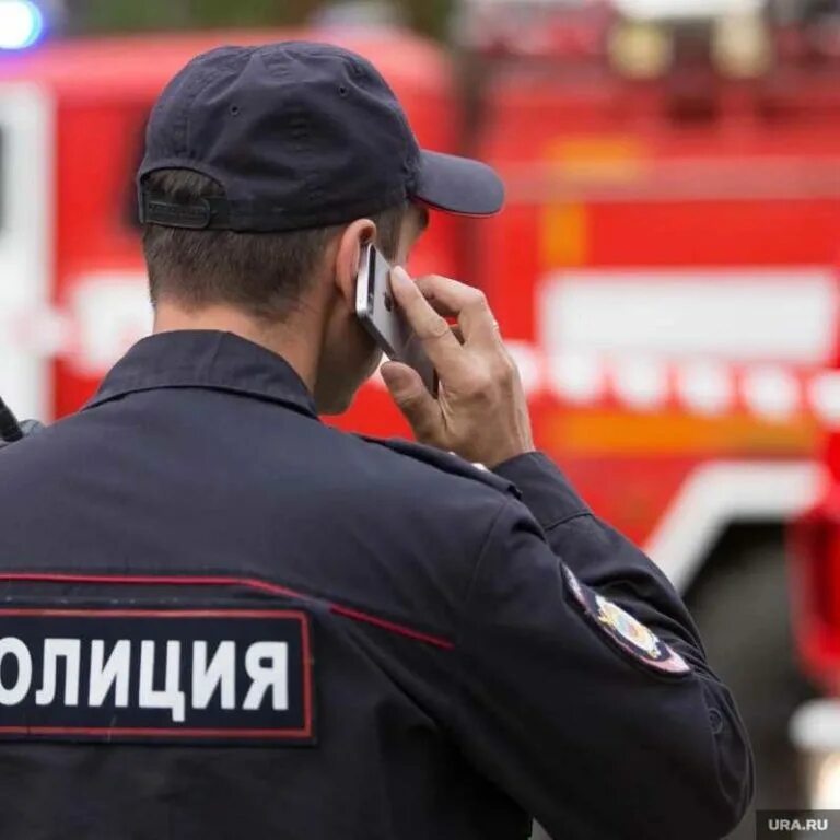 Как полиция находит телефоны. Полиция в аэропорту шереметьево. отдел полиции шереметьево. полицейский с телефоном. информирование полиции.