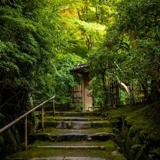 Japan step