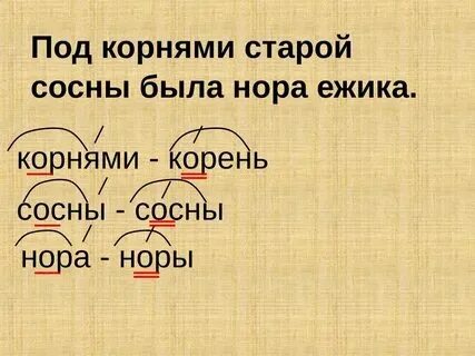 Одно кореное слово сосна. Единообразное написание корня в однокоренных словах. Корень слова сосна. Корни раст и рост правило написания. Корень слова сосна.