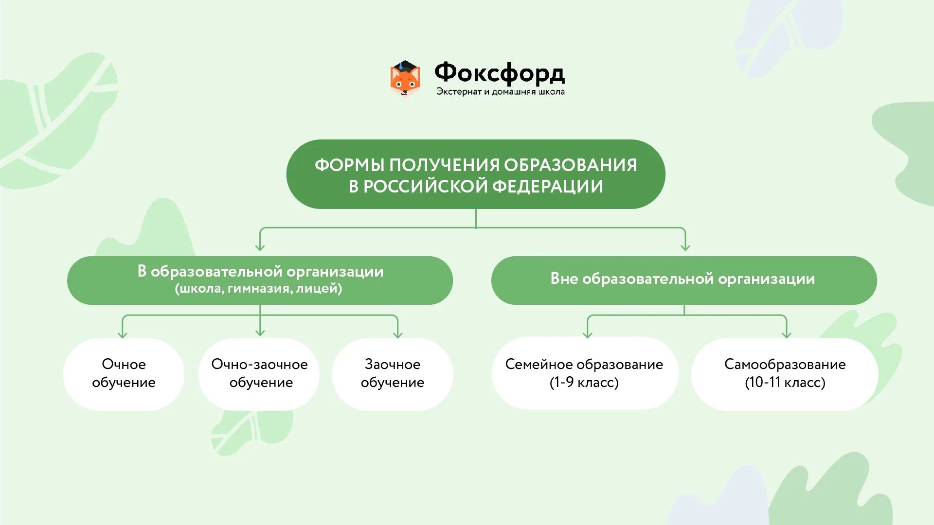 Формы образования в школе. Формы преподавания в школе. Заочная форма обучения в школе. Виды очного образования.