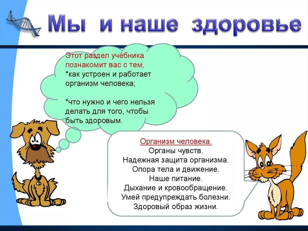 Темы человек живой организм. Мы и наше здоровье. Мы и наше здоровье 3 класс окружающий мир. Мы и наше здоровье презентация. Организм человека 3 класс презентация.