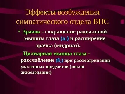 Расширение зрачка какой отдел нервной системы