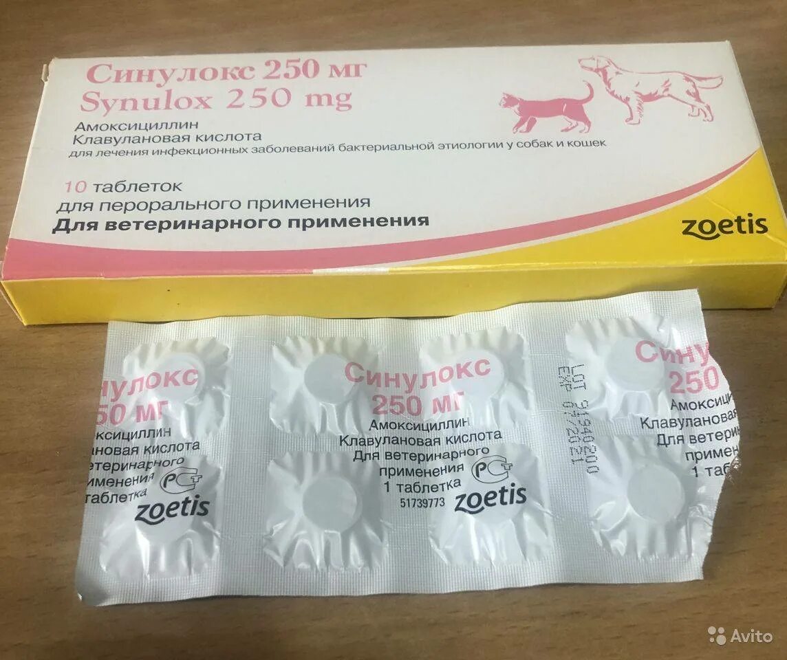 Синулокс дозировка. Синулокс 250 мг. Синулокс 150 мг. Собачий антибиотик синулокс. Препарат ветеринарный синулокс 250 мг.