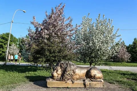 Бердск без