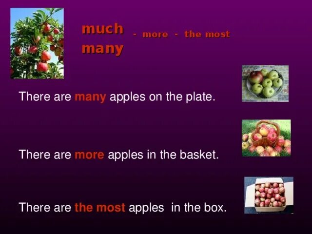 There is there are many much. Apples much или many. There is there are much many правило. There is there are и more.