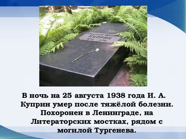 Кто написал похороните. Куприн похоронен. Куприн смерть. Могила Куприна.