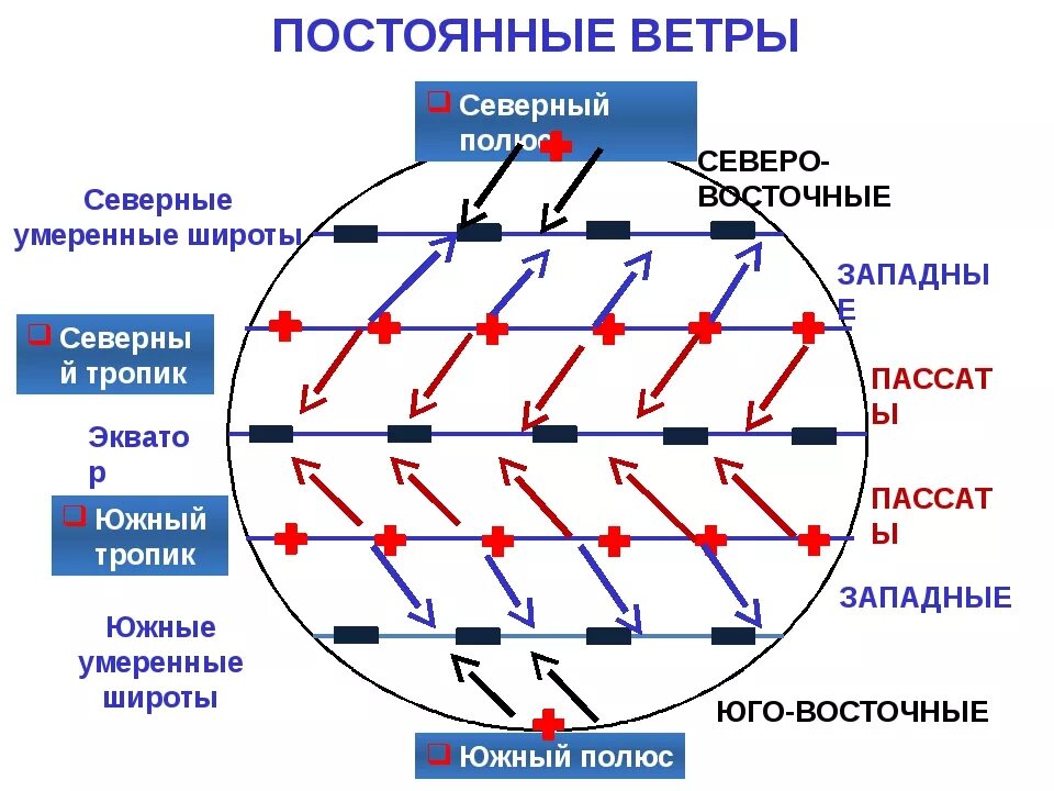 Пассаты южного полушария имеют направление. Схема образования ветров пассатов. Западные ветры умеренных широт. Постоянные ветры. Постоянные ветры схема.