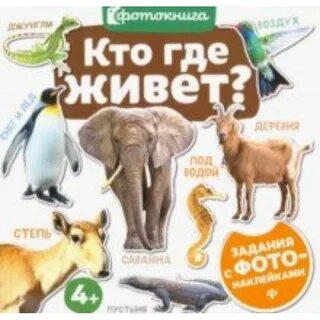 Где живет а 4 в какой стране