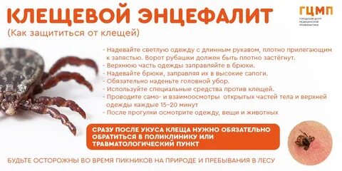 Энцефалит после укуса собаки