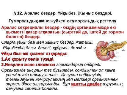 Бөтелкелер бөтелкелер