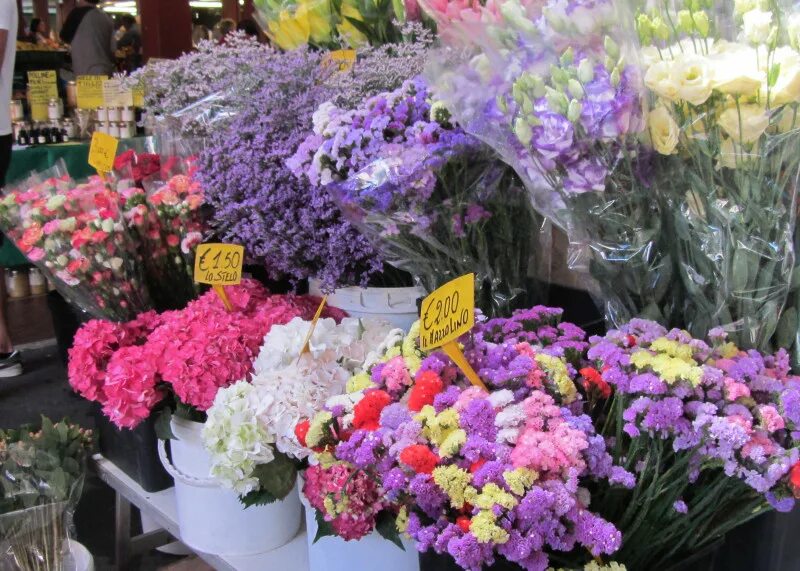 Рижский рынок цены на цветы 2024. Рижский рынок хризантемы. Хризантема в цветочном магазине. Хризантемы цветочный базар. Цветочный рынок на Восточном рынке.