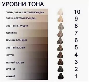 5 уровень краски