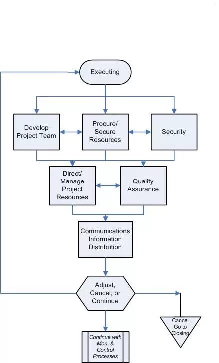 Project Management process. Program execution Management. Project Flow Chart. Flow Chart PMP.