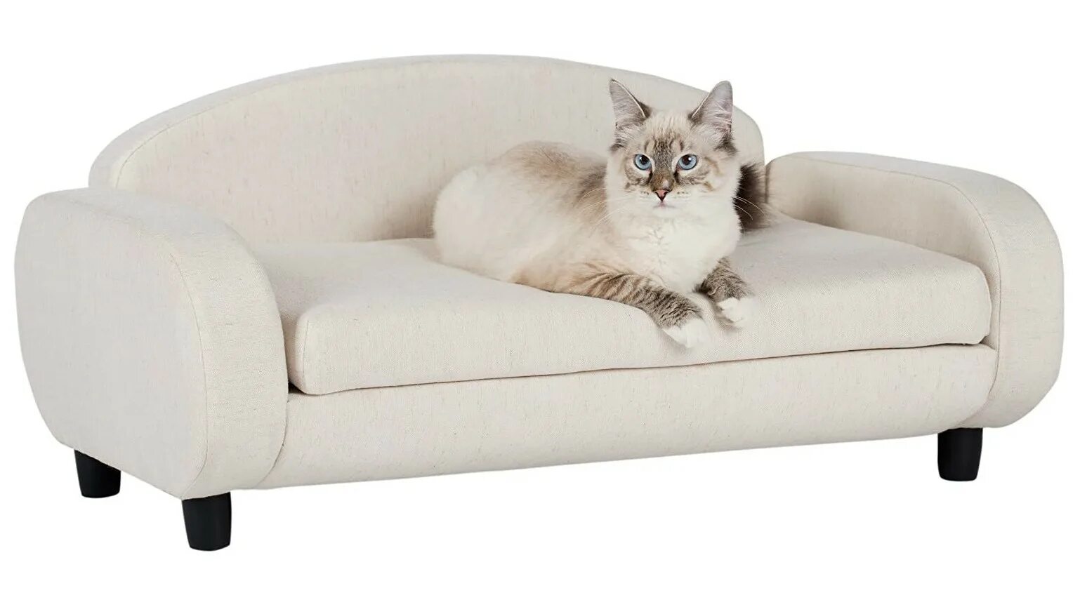 Cat Sofa кроссовки. Кэт софа Кэт софа. Cat Sofa дутыши. Кресло для кошки.