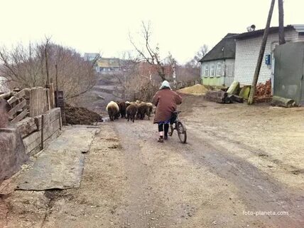 Черницыно октябрьский