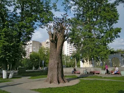 Достопримечательности кирова названия