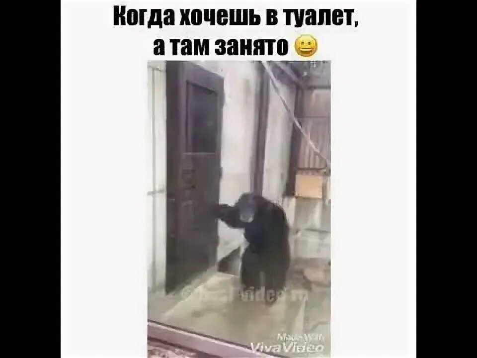 Терпеть туалет видео. Когда хочешь в туалет. Ты хочешь в туалет. Картинки когда хочешь в туалет.