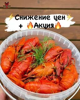 Раки в новороссийске