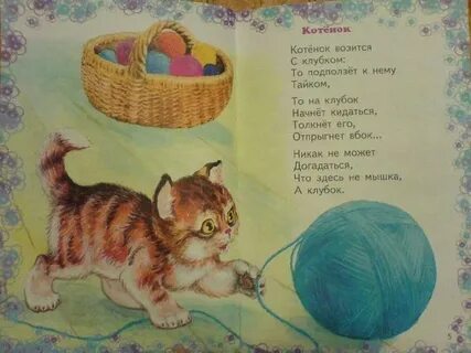 Стихотворение котенок