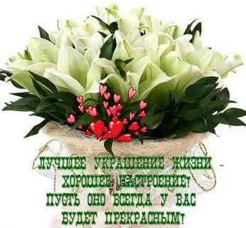 Пусть с каждым годом твоя жизнь