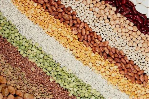 Зерновые и зернобобовые культуры