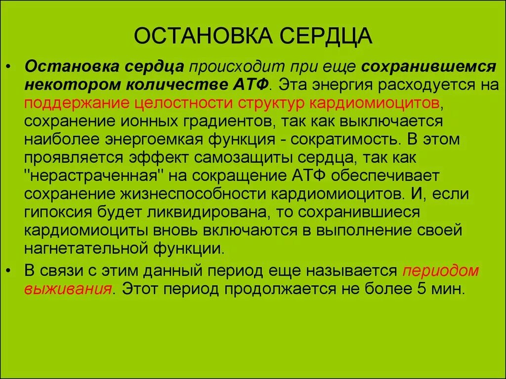 Хамиль остановка сердца. Как происходит остановка сердца. Остановка сердца медицинский термин. Как называется остановка сердца.